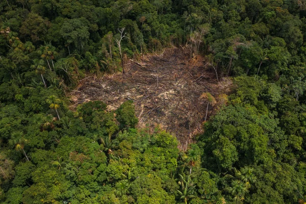 Imagem colorida de área desmatada na Amazônia em junho de 2025