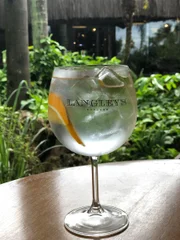 Langley´s Tonic Langley´s Tonic