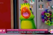 Recuperado da Covid-19, Louro Mané retorna ao Mais Você - Metrópoles