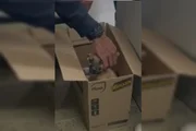 Filhote resgatada do lixo está para adoção Filhote resgatada do lixo está para adoção