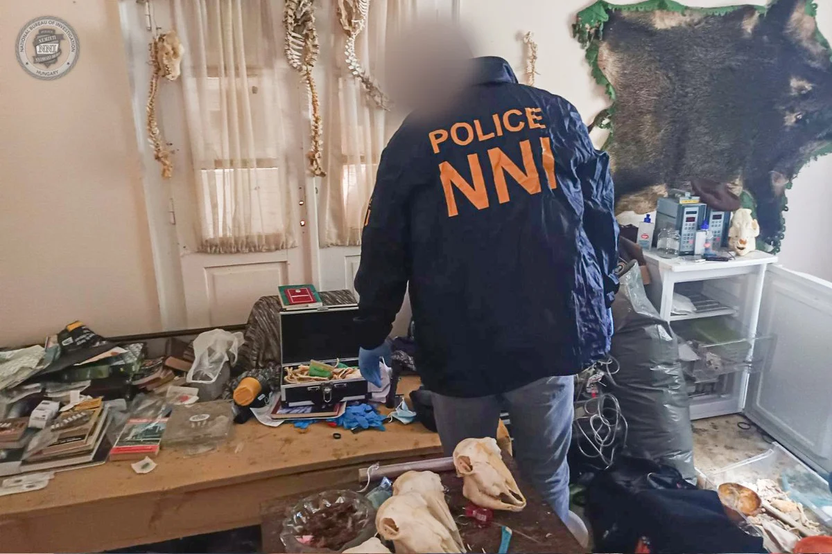 A prisão aconteceu na última quarta-feira (17/6), depois que a polícia húngara abriu investigação com base em denúncias sobre o comportamento estranho do suspeito A prisão aconteceu na última quarta-feira (17/6), depois que a polícia húngara abriu investigação com base em denúncias sobre o comportamento estranho do suspeito