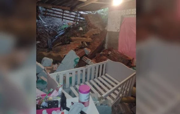 foto colorida de casa destruída após queda de árvores