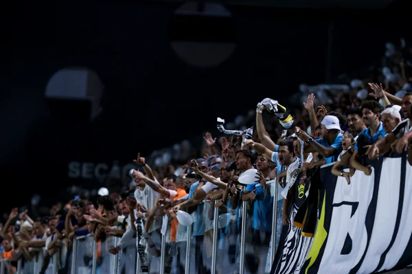 Torcida do Santos na Vila Belmiro