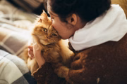 Observe o comportamento do gato durante a interação