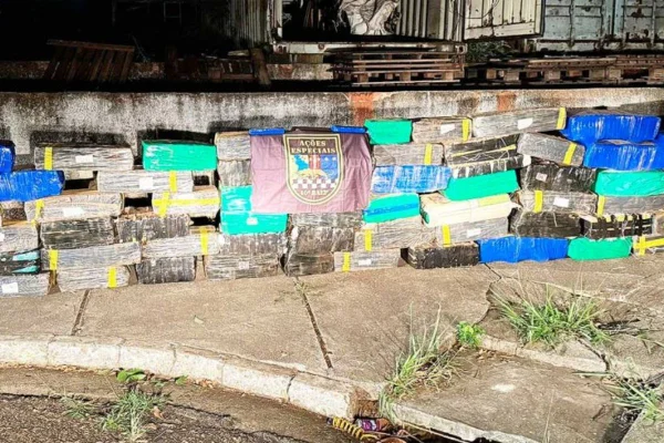 Imagem colorida mostra drogas apreendidas pela PM em carga de grãos em rodovia de SP - Metrópoles