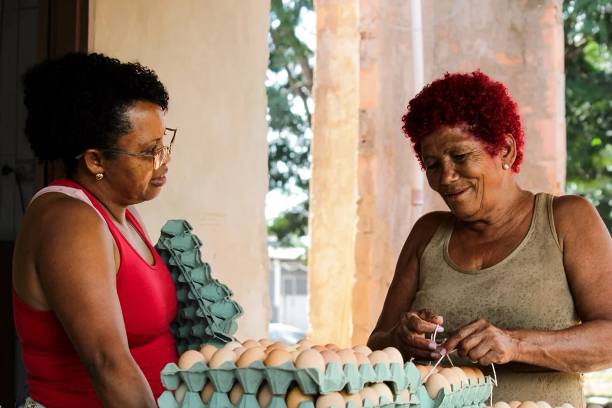 O projeto está na fase final de validação do bioinsumo e pretende iniciar a comercialização do fertilizante ecológico nos próximos meses, ampliando as possibilidades de geração de renda e de recuperação ambiental no Cerrado O projeto está na fase final de validação do bioinsumo e pretende iniciar a comercialização do fertilizante ecológico nos próximos meses, ampliando as possibilidades de geração de renda e de recuperação ambiental no Cerrado