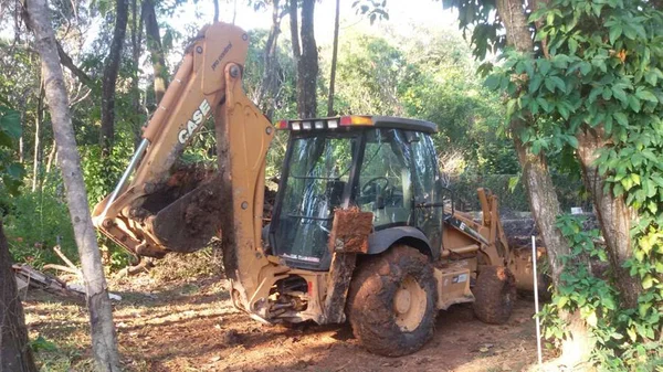 Homem é preso após cortar árvores em área pública do Lago Sul