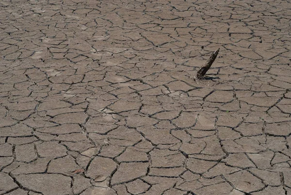 Imagem colorida de seca em rio do Amazonas - Metrópoles