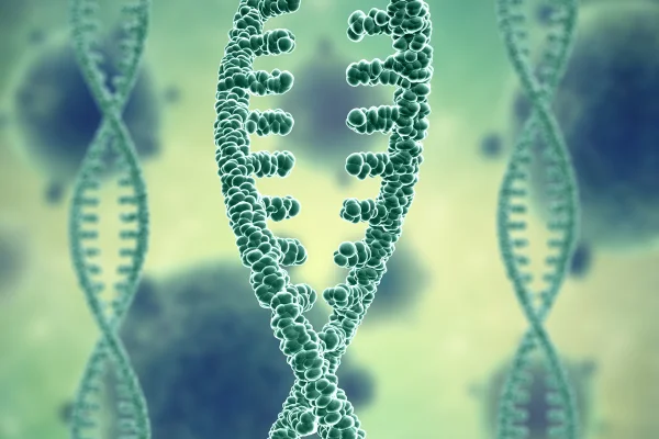 Ilustração colorida em tons verdes que mostram anéis de DNA, genética - Metrópoles.