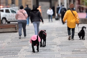 Pessoa durante baixa temperatura e frio na capital paulista Pessoa durante baixa temperatura e frio na capital paulista