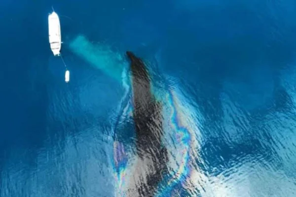 Imagem vista do alto mostra mancha no mar decorrente do vazamento de óleo. Metrópoles