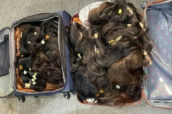 Foto colorida de cabelo roubado por policiais em MT - Metrópoles