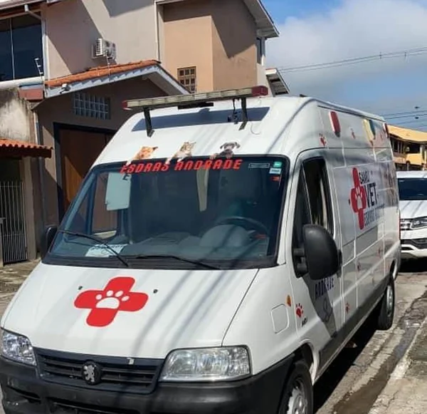 Van com 70 gatos resgatados por ONG é roubada em São Paulo
