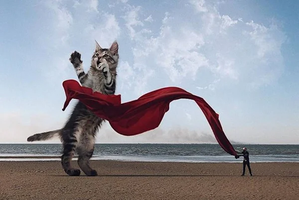 Artista cria um mundo com gatos gigantes e viraliza