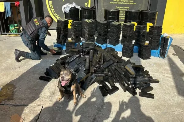 Imagem colorida, drogas apreendidas pela Polícia Militar