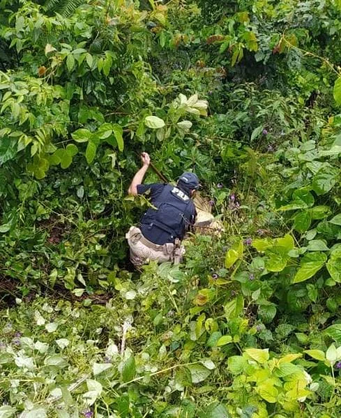 PRF encontra cadáver às margens da Rio-Santos