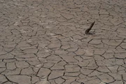 Seca no Amazonas