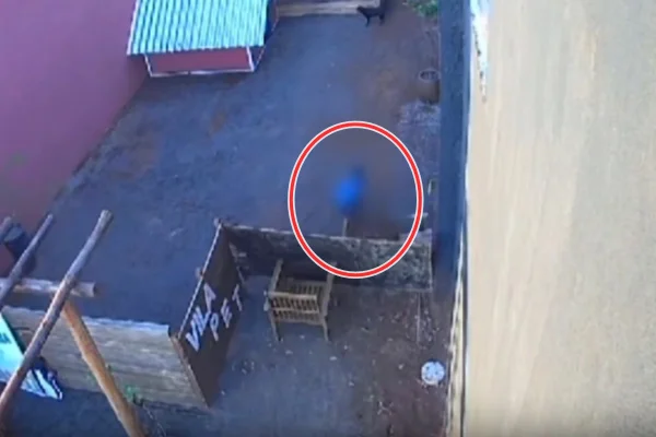 Imagens de segurança mostram criança