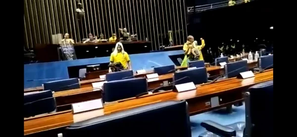 Bolsonaristas radicais invadem plenário do Senado. Veja vídeo