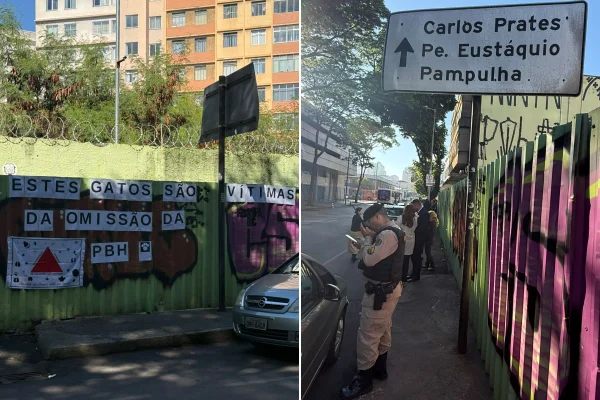 Destino de mais de 50 gatos preocupa ativistas durante reintegração em BH