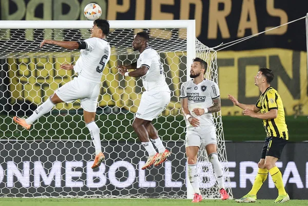 Botafogo avança e encara o Atlético-MG na final da Libertadores