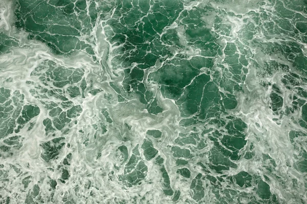 Imagem mostra oceano de cor verde - Metrópoles