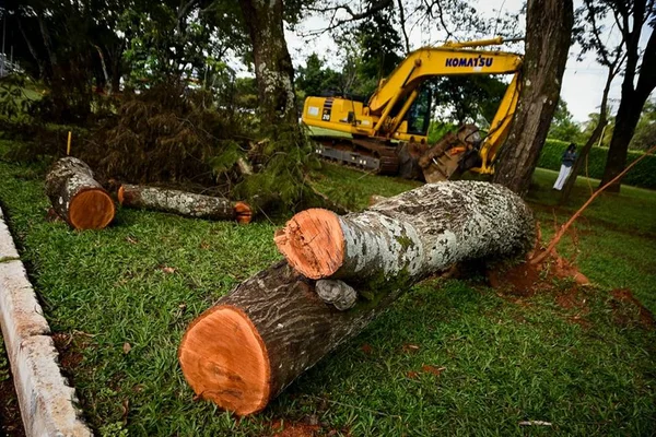 Deputado pedirá explicações ao GDF sobre obra de posto no Lago Sul