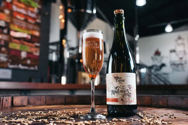 Malvacea: cerveja gaseificada com flor de hibisco é leve e sofisticada