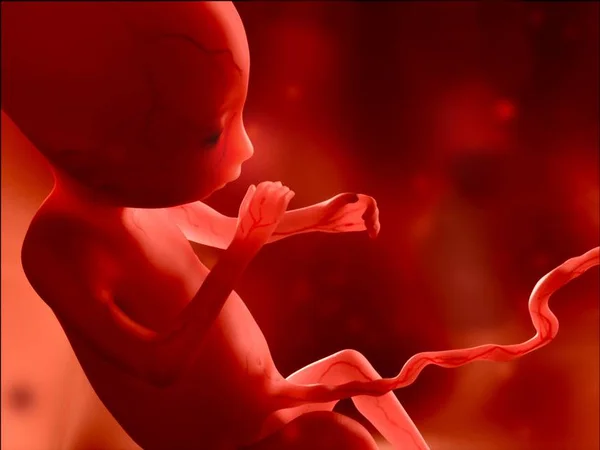 Em experimento, cientistas “apagam” doença do DNA de embriões humanos