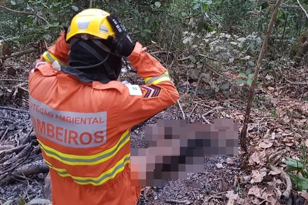 Homem que agrediu e ateou fogo a morador de rua é condenado a 12 anos de prisão