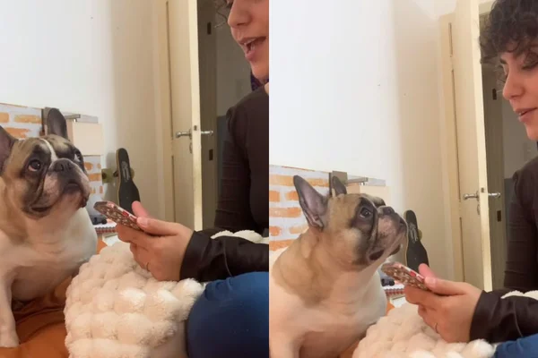 Foto colorida de um cachorro e uma mulher em cima da cama - Metrópoles