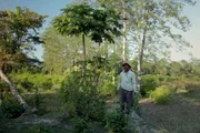 Считается одним из величайших индивидуальных произведений в истории человечества.