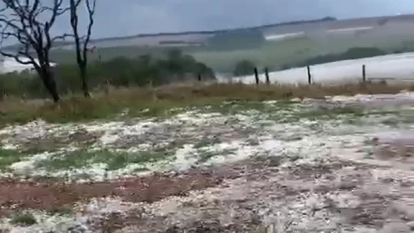 Foto colorida mostra área rural em Goiás logo após forte chuva de granizo. / Metrópoles