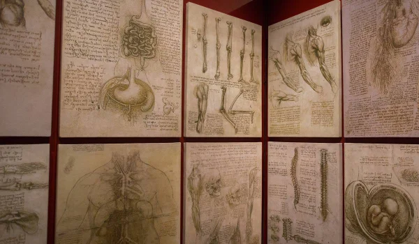 Exposição Leonardo da Vinci - 500 anos de um gênio, no MIS Experience, em SP