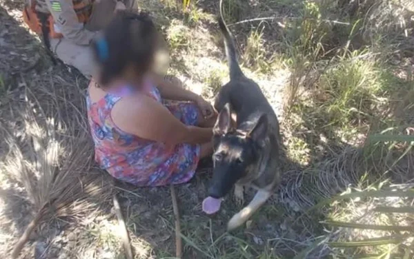 GO: mulher desaparecida em mata é encontrada por cadela dos bombeiros