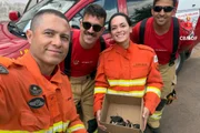 Os saruês foram levados ao Hospital de Fauna Silvestre do Distrito Federal