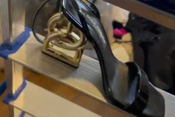 Closet de milhão: patricinha do tigrinho tem itens de luxo apreendidos