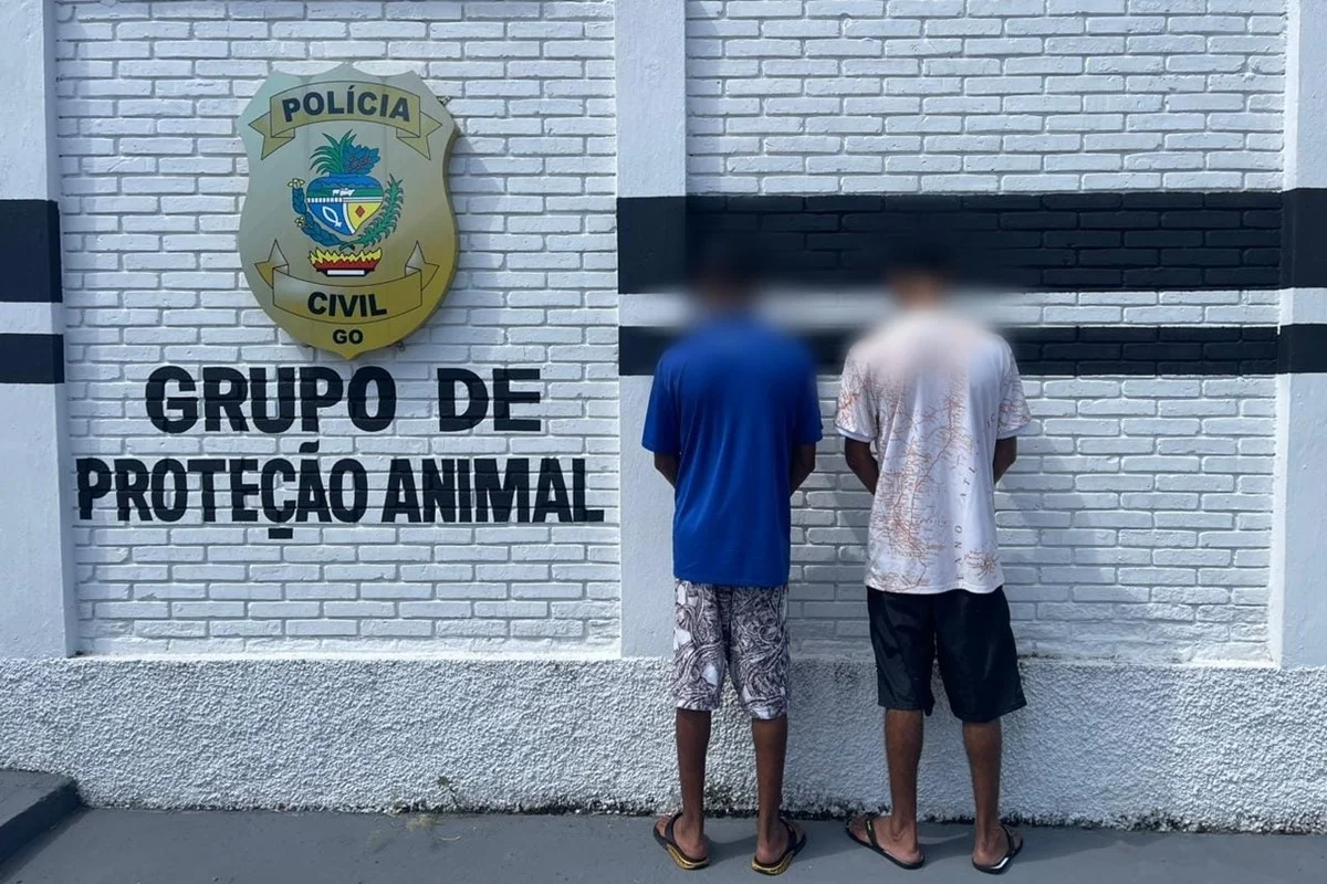 Prisão ocorreu nessa terça (5/3) Prisão ocorreu nessa terça (5/3)