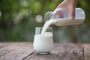 Além de ser bom para os ossos, leite também contribui para o aumento de proteína no corpo 