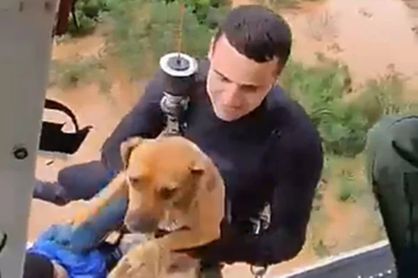 Foto colorida do momento em que cachorro é salvo por bombeiro em RS - Metrópoles