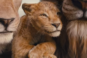 Mufasa - O Rei Leão 