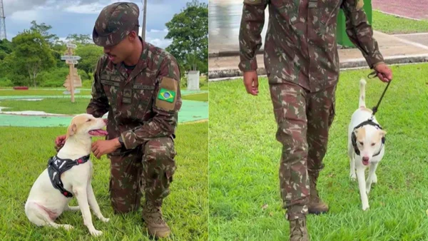 Montagem de fotos de cadela e sargento após adoção