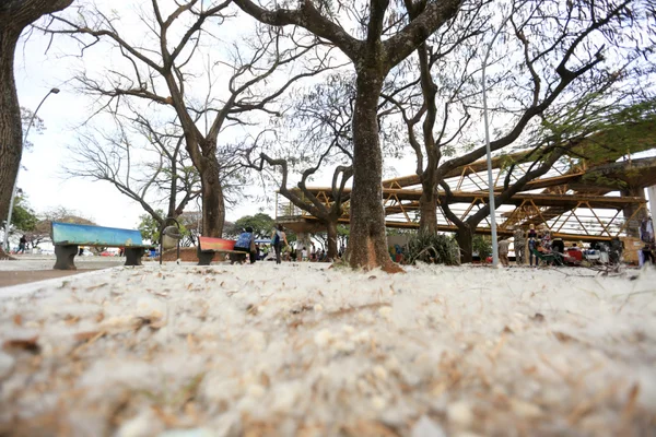 Previsão de chuva só no fim do mês, diz Inmet