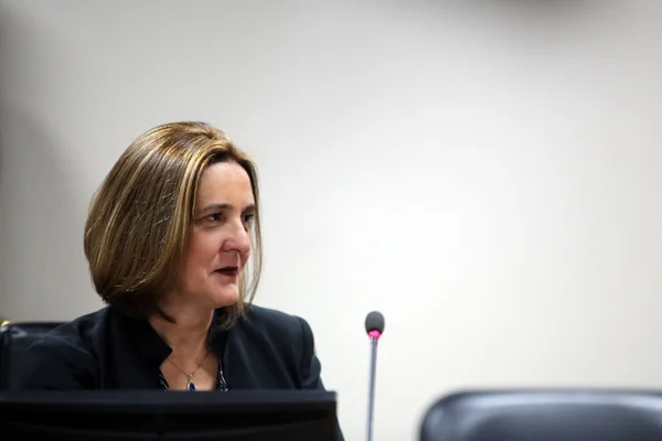 Maria Tereza Uille
