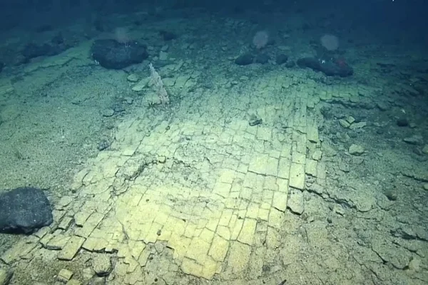“Estrada de tijolos” é descoberta em expedição no Oceano Pacífico