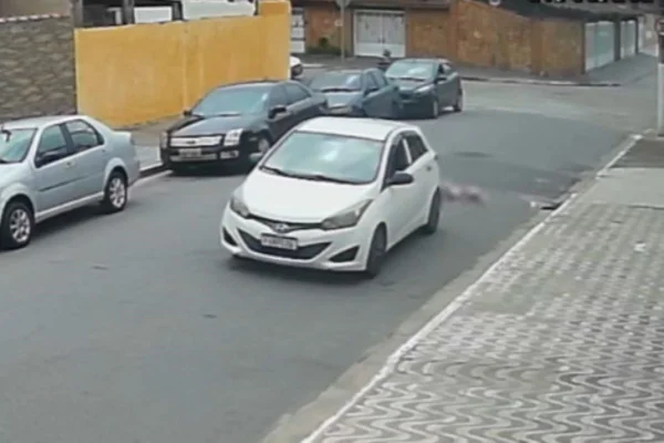 Cenas fortes: homem atropela 3 vezes e mata cachorro em Praia Grande