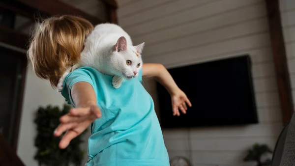 Férias escolares: pets podem ficar estressados com a mudança de rotina
