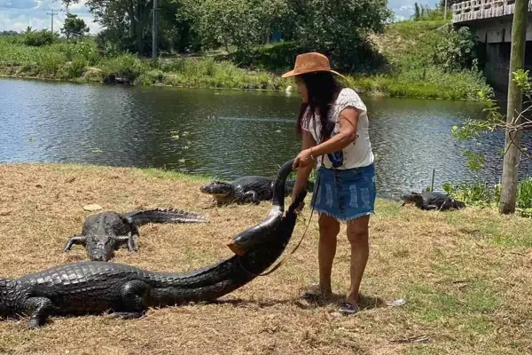 Maria dos Jacarés toca berrante para jacaré