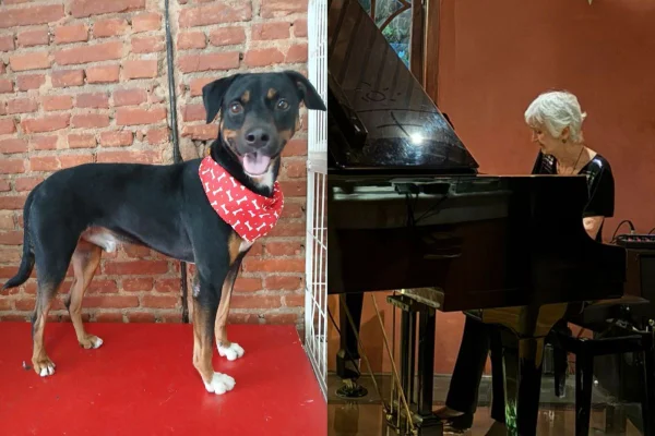 montagem mostra Margarida Garadebian (à direita) e um de seus cães (à esquerda)