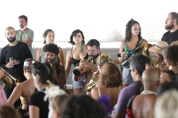 Foliões em Carnaval no DF